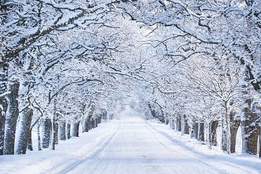 snow covered lane